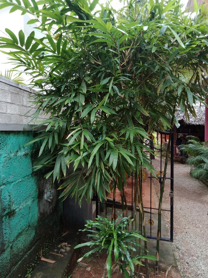 Mango Palace Varkala Ngoại thất bức ảnh